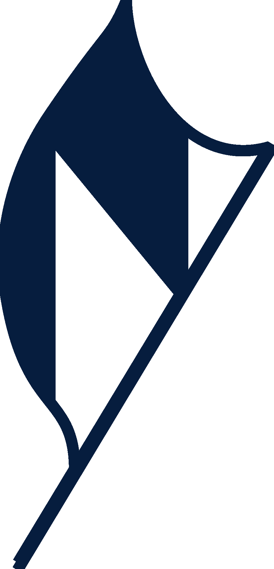 Northshark Logo Vector Logo